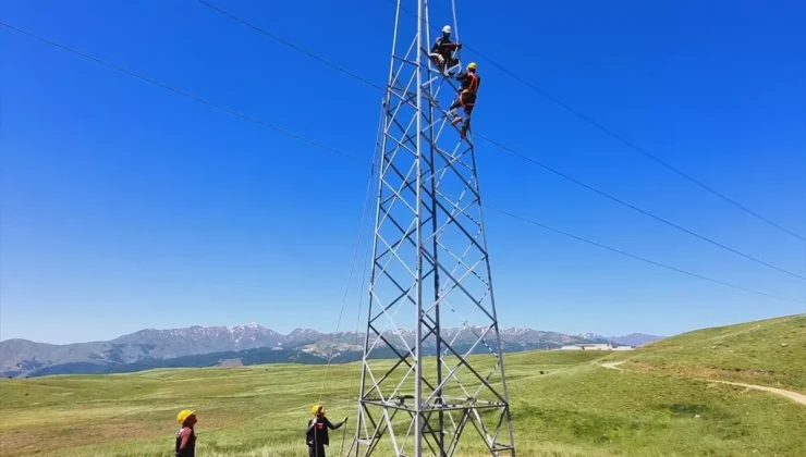 Muş’ta elektrik şebekesi güçlendirme çalışmaları devam ediyor