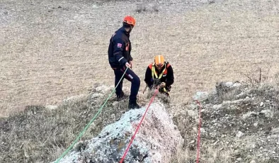 Muş’ta Mahsur Kalan Keçiler AFAD Ekipleri Tarafından Kurtarıldı