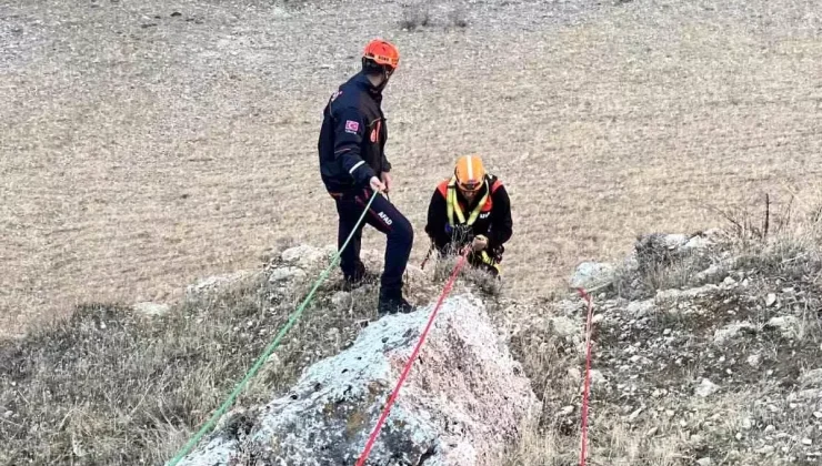 Muş’ta Mahsur Kalan Keçiler AFAD Ekipleri Tarafından Kurtarıldı